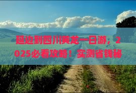 延边到四川黄龙一日