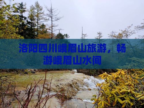 洛阳到四川峨眉山团体旅游