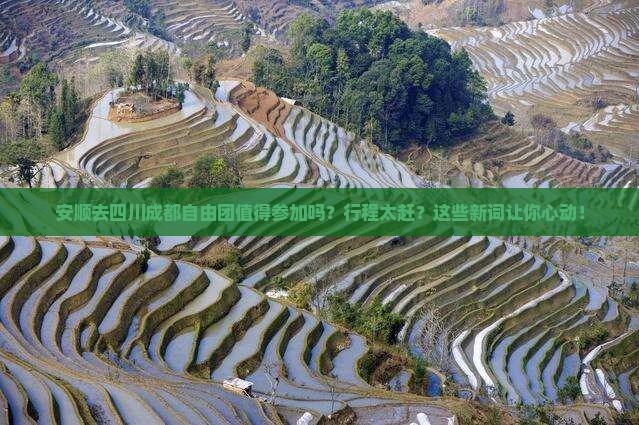 安顺去四川成都自由团
