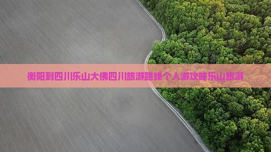 衡阳去四川乐山大佛个人游