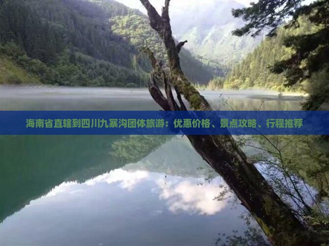 海南省直辖到四川九寨沟团体旅游 海南省直辖到四川九寨沟团体旅游