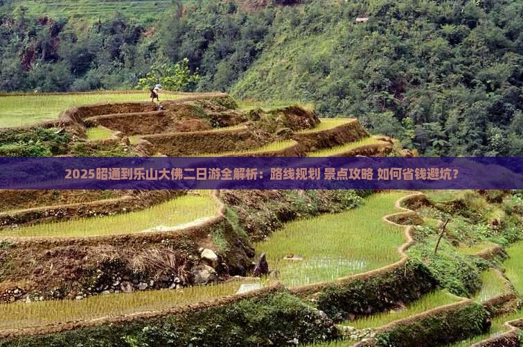 昭通去四川乐山大佛二日游