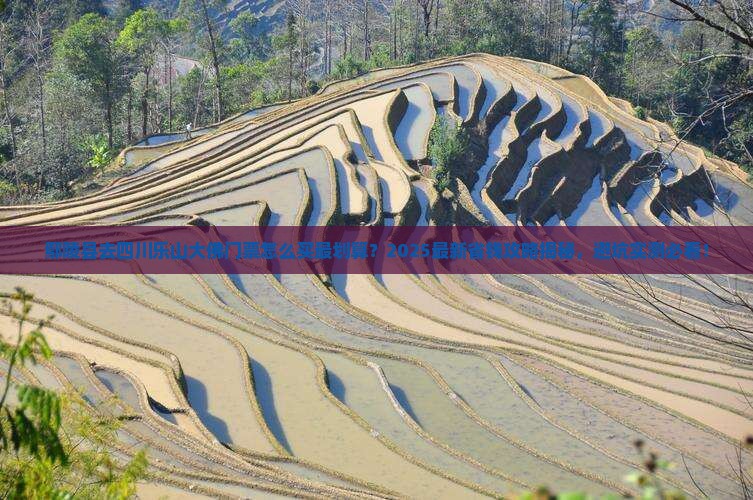 鄢陵县去四川乐山大佛门票
