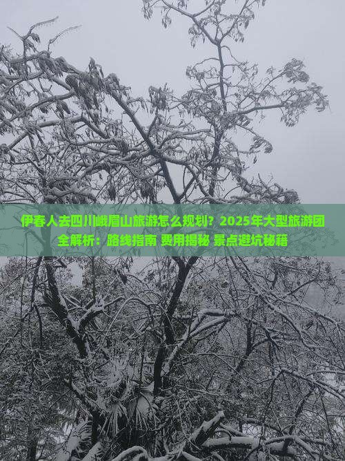 伊春去四川峨眉山大型旅游团