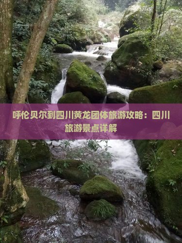 呼伦贝尔到四川黄龙团体旅游