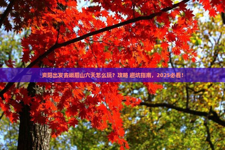 资阳到四川峨眉山六日游