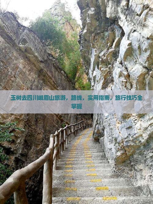 玉树去四川峨眉山旅游