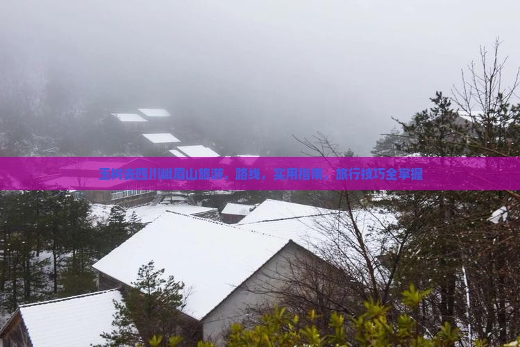 玉树去四川峨眉山旅游