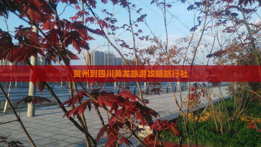 贺州到四川黄龙旅行社
