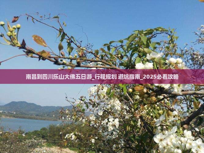 南昌到四川乐山大佛五日游