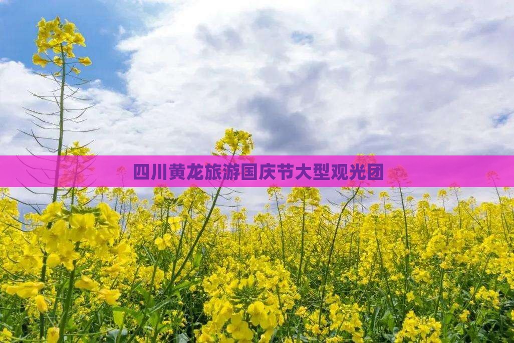 国庆节去四川黄龙大型旅游团 国庆节去四川黄龙大型旅游团