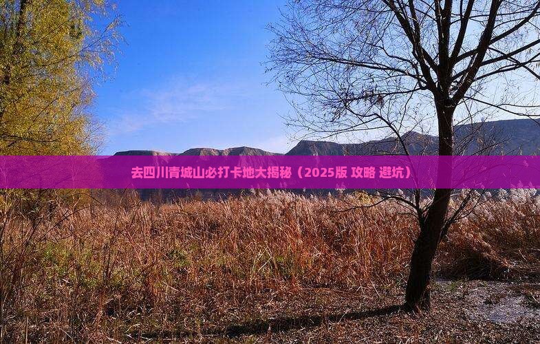 朝阳去四川青城山必去地 朝阳去四川青城山必去地