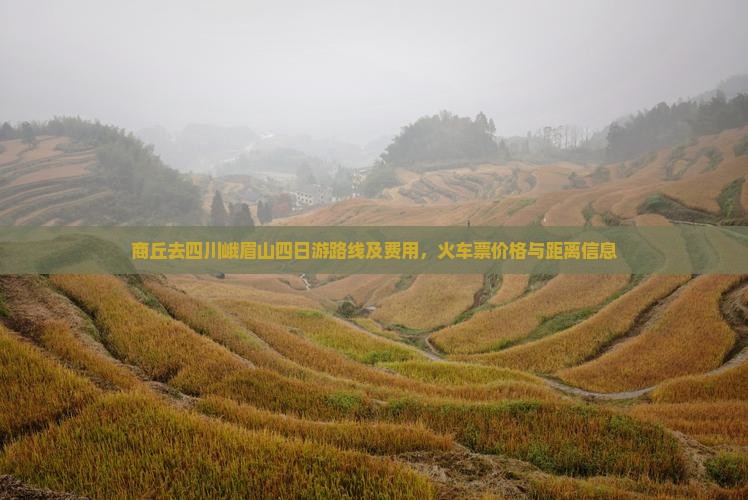 商丘去四川峨眉山四日游