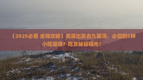芜湖去四川九寨沟旅游小吃