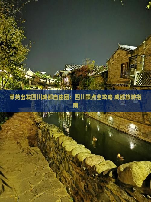 莱芜去四川成都自由团