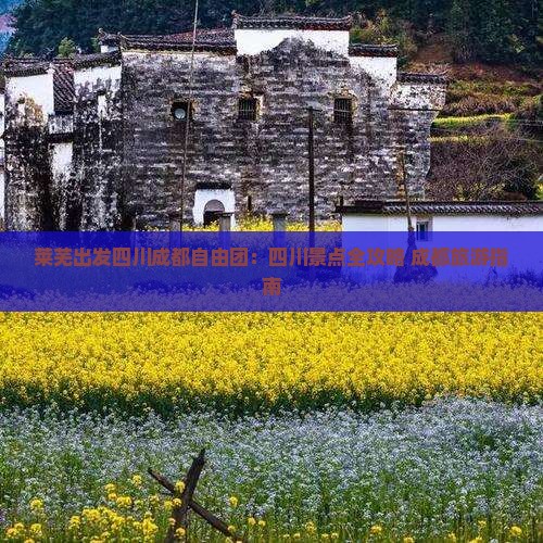 莱芜去四川成都自由团
