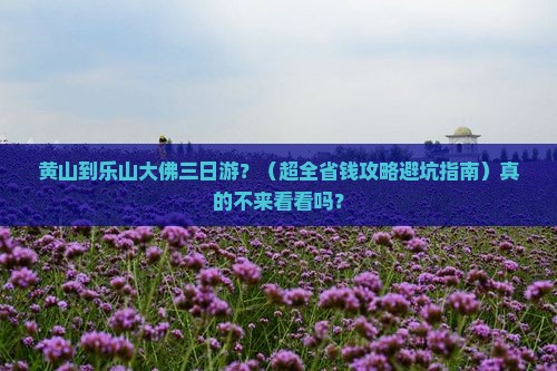 黄山到四川乐山大佛三日游