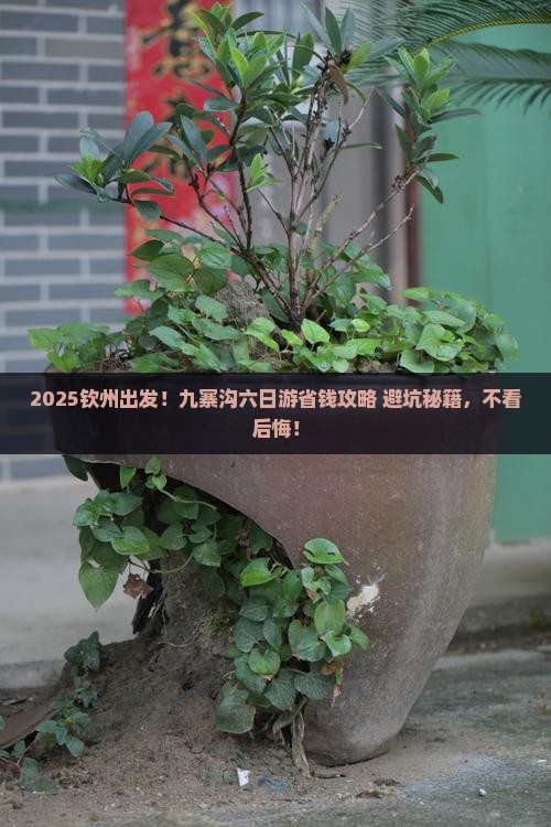 钦州去四川九寨沟六日游