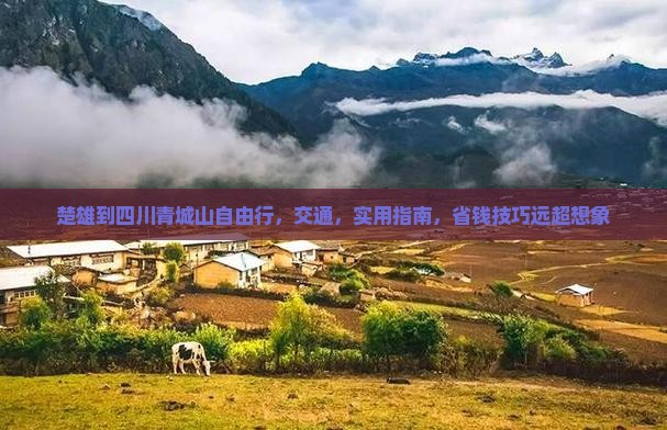 楚雄到四川青城山自由行