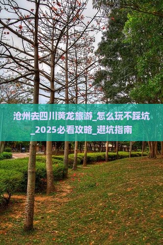 沧州去四川黄龙旅游