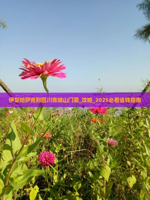 伊犁哈萨克到四川青城山门票