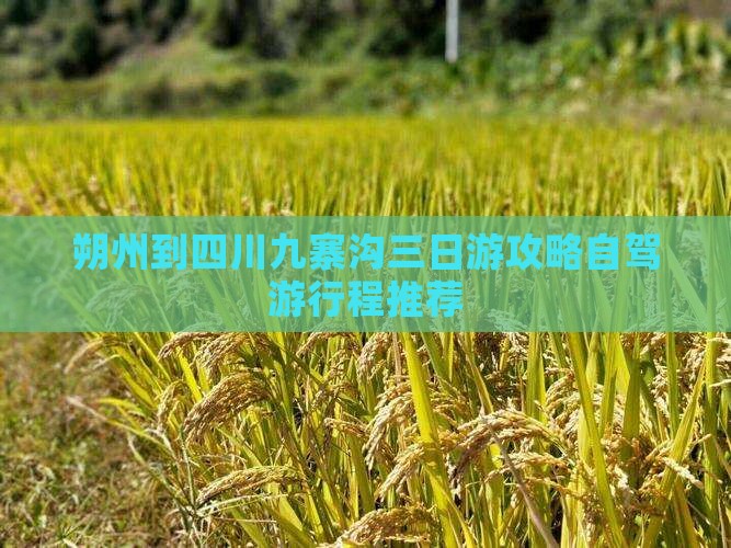朔州到四川九寨沟三日游