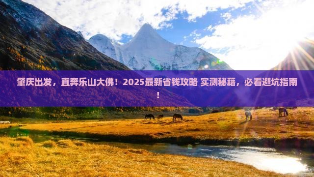 肇庆去四川乐山大佛旅行社