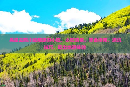 吕梁去四川成都旅游小吃