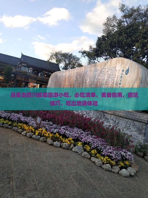 吕梁去四川成都旅游小吃