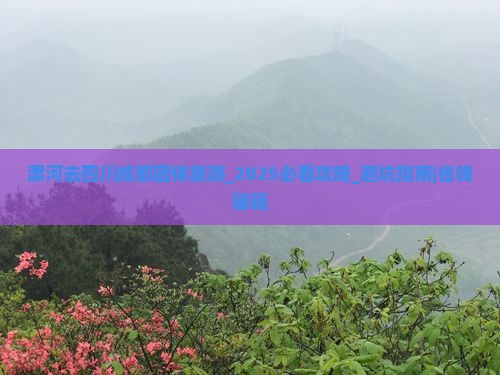 漯河去四川成都团体旅游