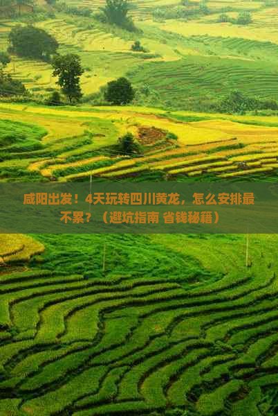 咸阳到四川黄龙四日游