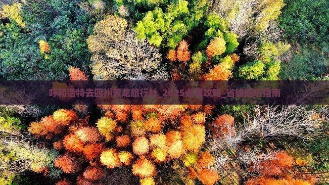 呼和浩特去四川黄龙旅行社