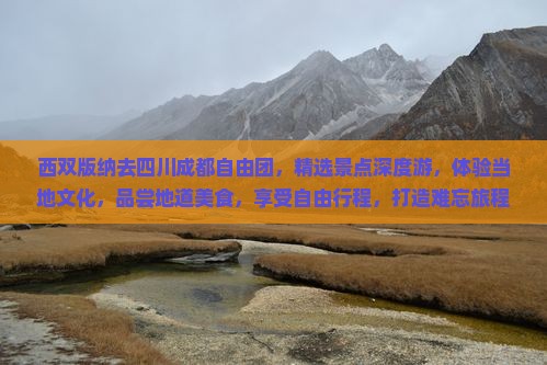 西双版纳去四川成都自由团