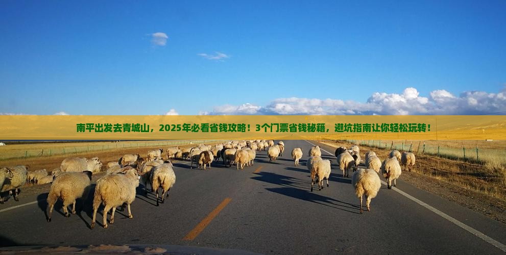 南平到四川青城山门票