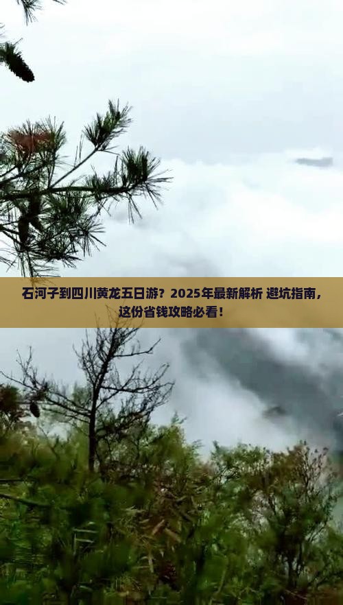 石河子去四川黄龙五日游