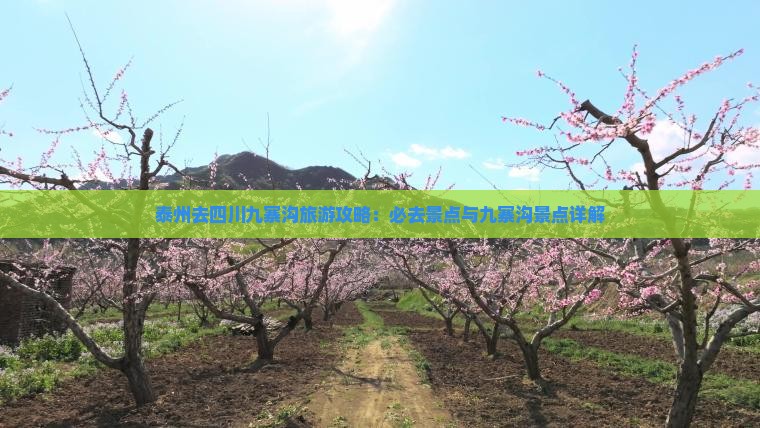 泰州去四川九寨沟必去地