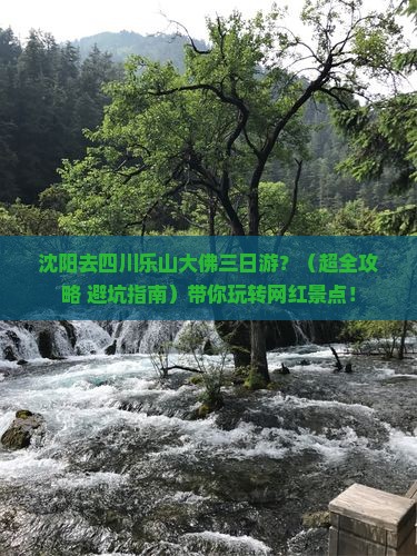 沈阳去四川乐山大佛三日游