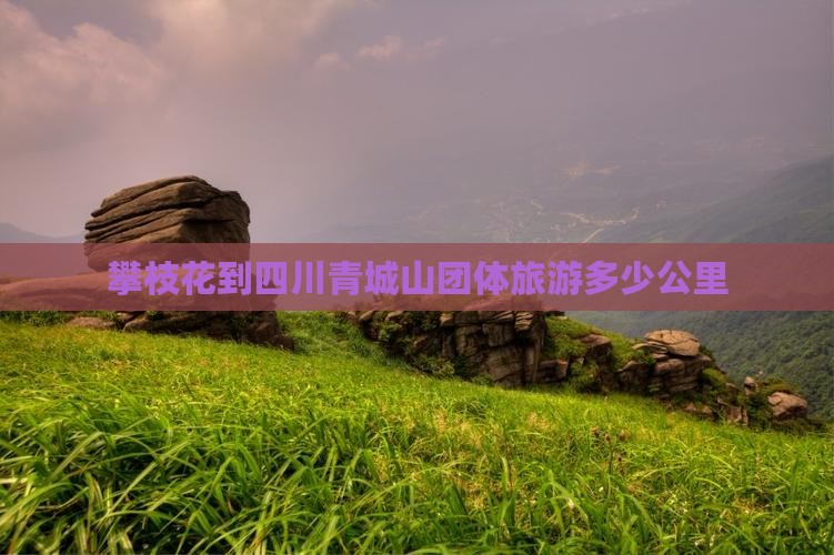 攀枝花到四川青城山团体旅游