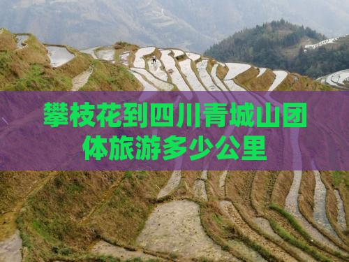 攀枝花到四川青城山团体旅游