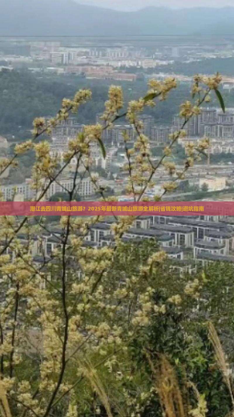 潜江去四川青城山旅游