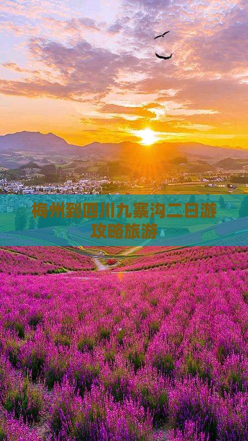 梅州到四川九寨沟二日游