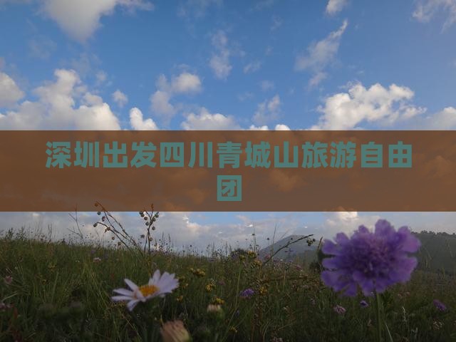 深圳去四川青城山自由团