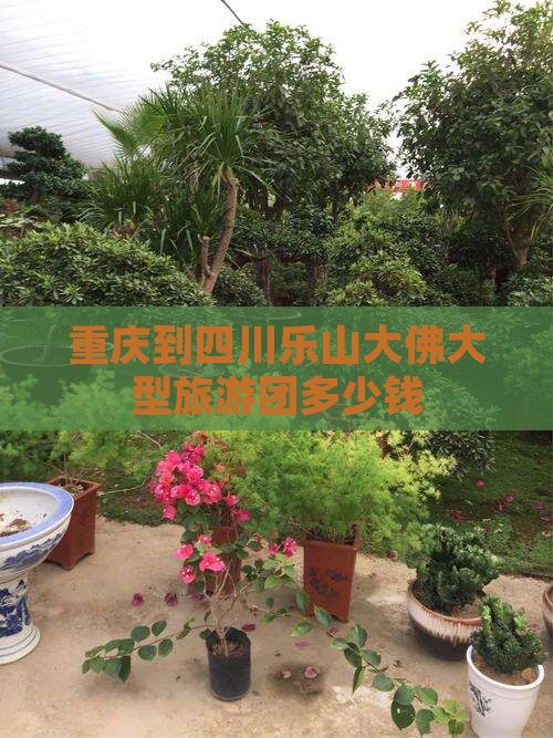 重庆到四川乐山大佛大型旅游团