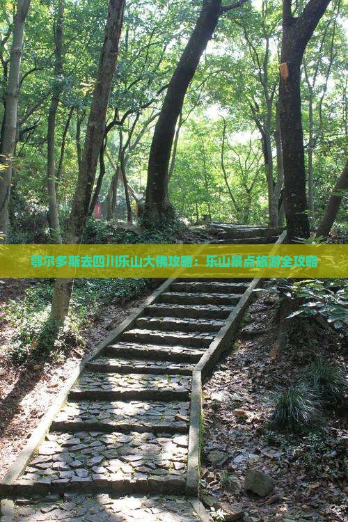 鄂尔多斯去四川乐山大佛哪里玩