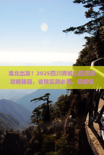 淮北去四川青城山四日游