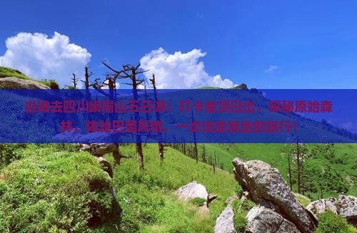 白城去四川峨眉山五日游