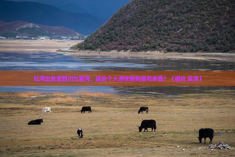 红河去四川九寨沟个人游