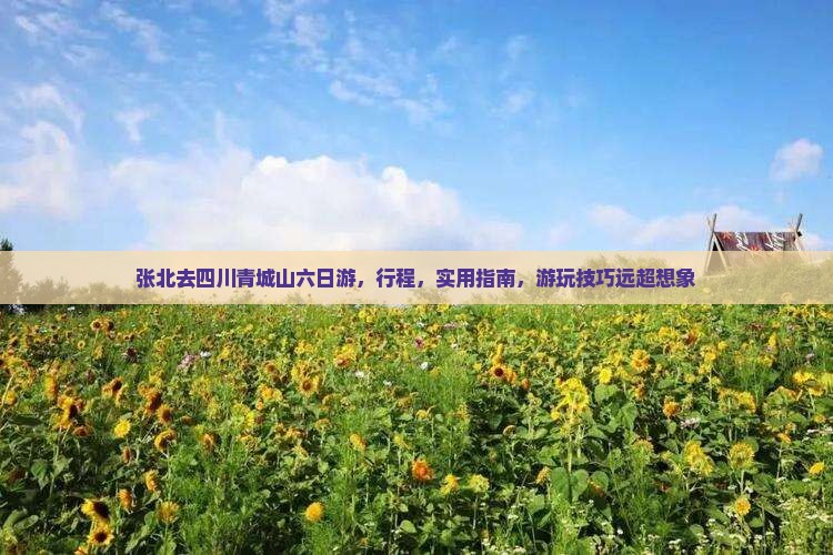 张北去四川青城山六日游