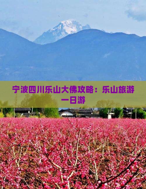 宁波去四川乐山大佛一日