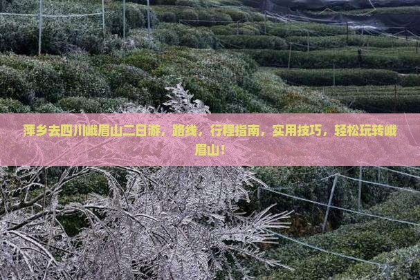 萍乡去四川峨眉山二日游